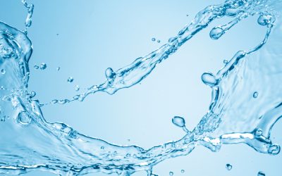 Water, the Resource of Life: Let’s Protect It Before It’s Too Late.