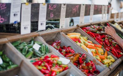 The Value of Organic Farming: Protecting the Land and Our Health