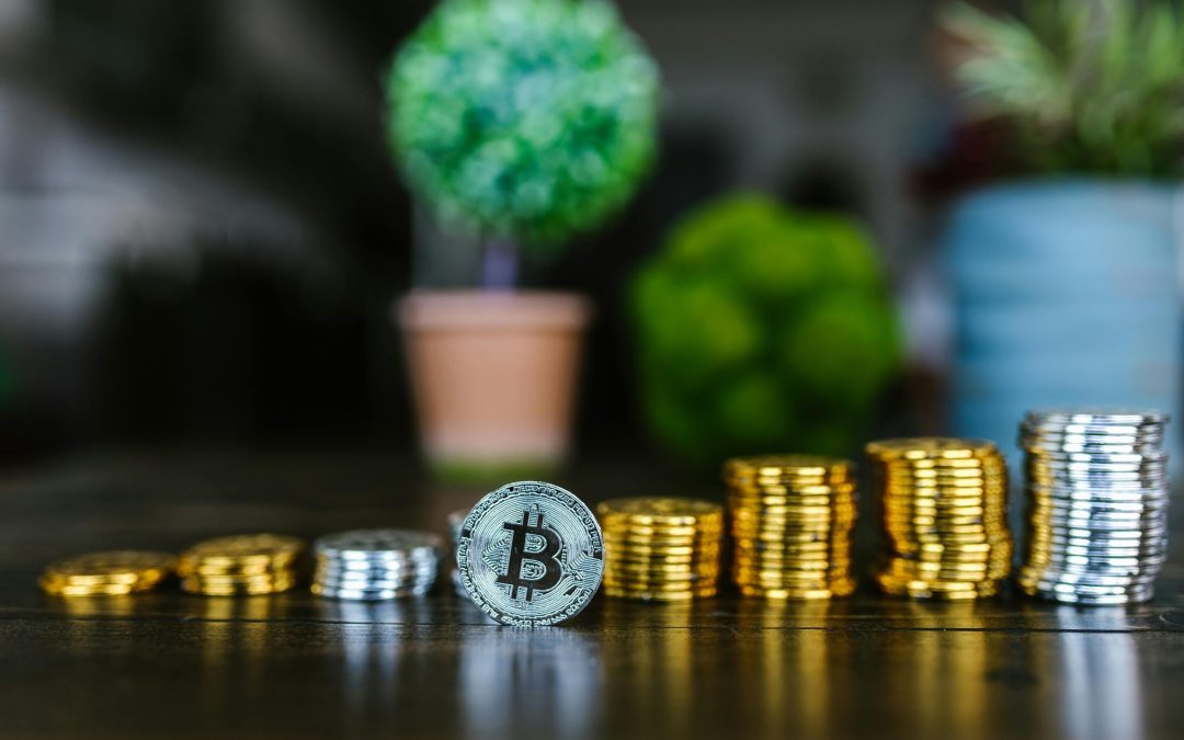 Cryptocurrencies and Real Assets: The Potential of a Digital Currency Backed by Agricultural Land