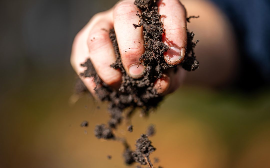 Our Land Holding Invitation Evening: May 27 at 21:00