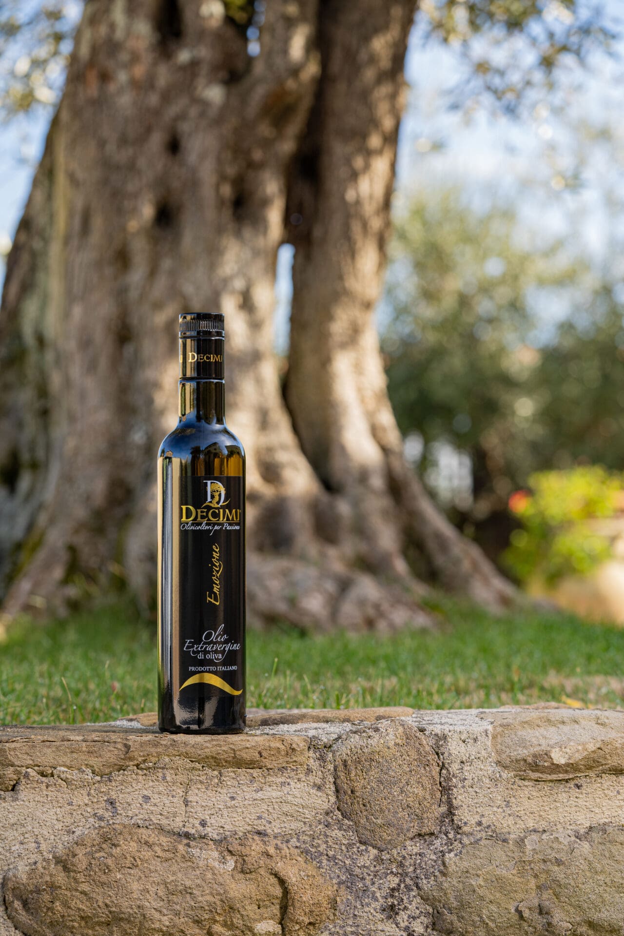 Emozione - immagine 3