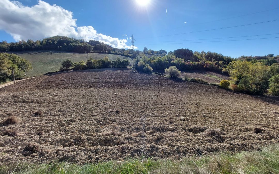 Habemus Terram! First Land Purchased in Gualdo Tadino