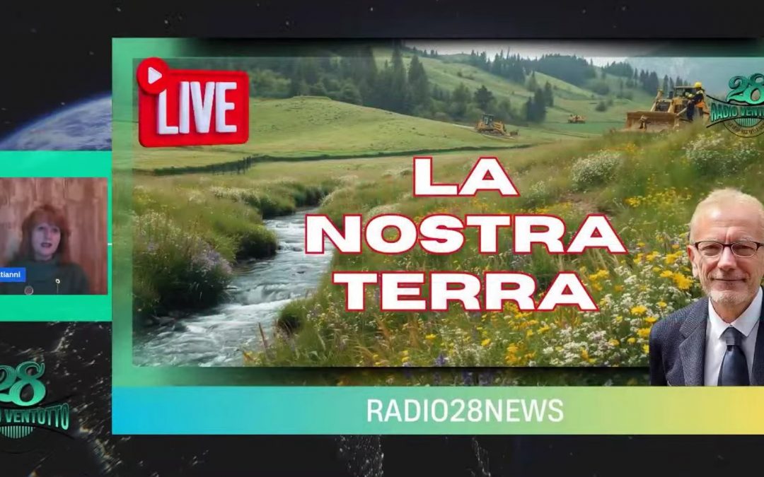 A new in depth video feature