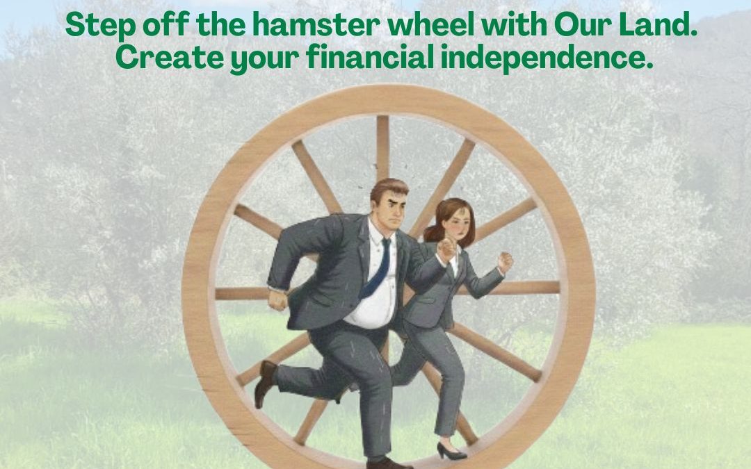 An online event to explore the OurLand model