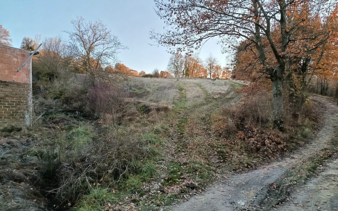 Expansion of Our Organic Presence: New Land Acquisition in Gualdo Tadino