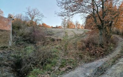 Expansion of Our Organic Presence: New Land Acquisition in Gualdo Tadino