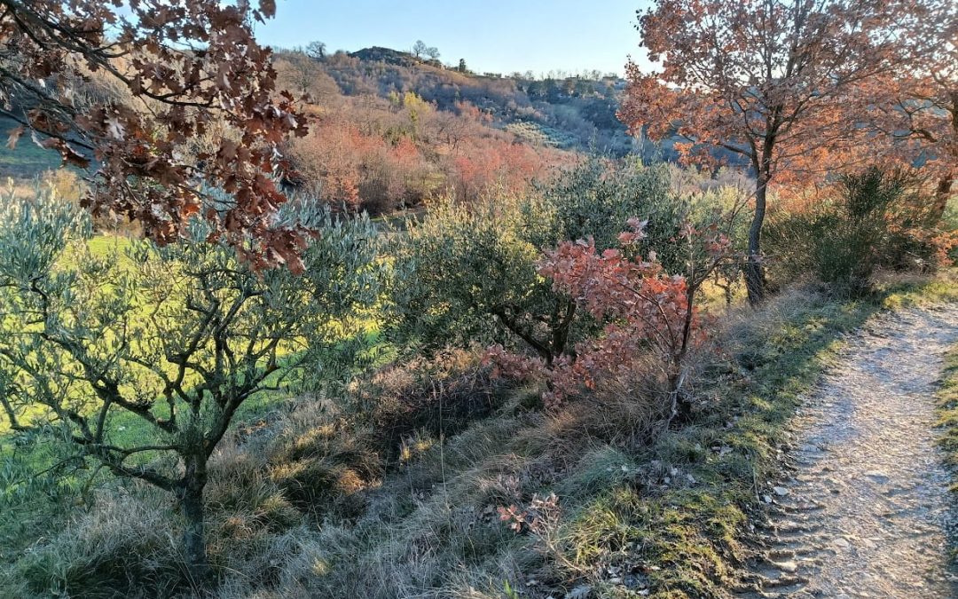 PRESS RELEASE – Umbria Breathes Again