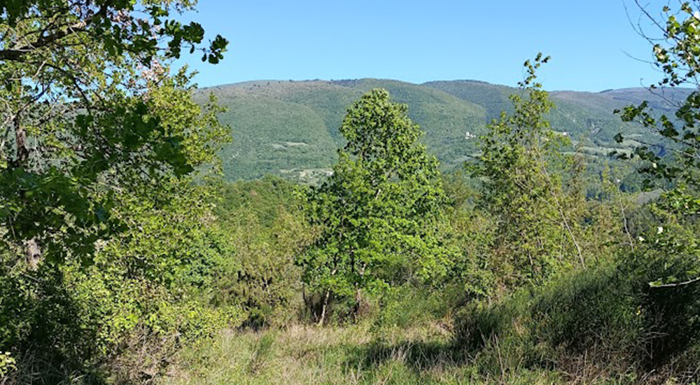 valatopina 3
