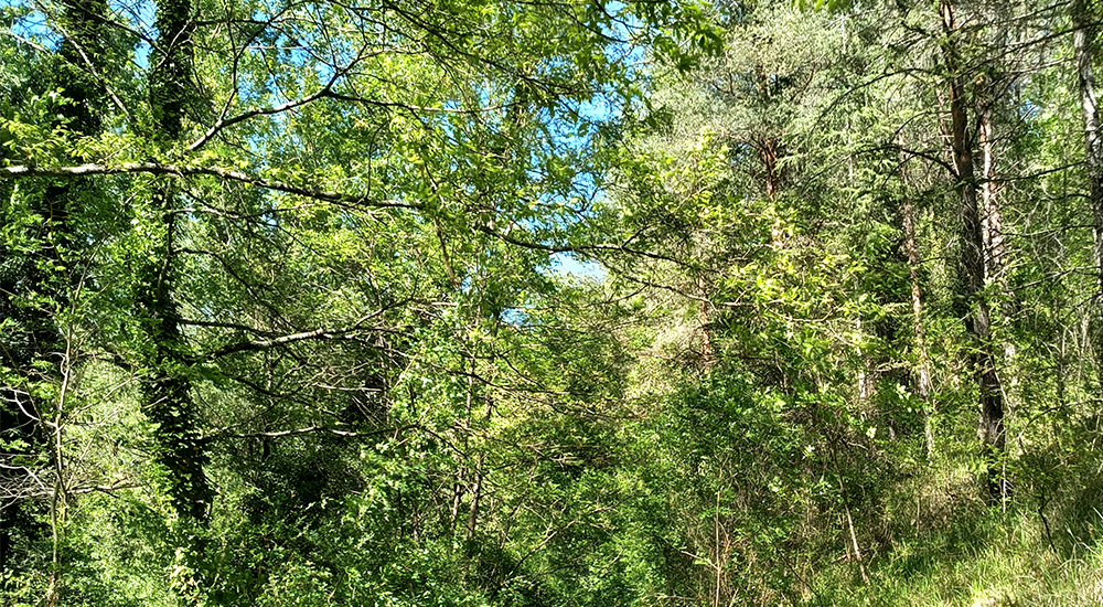 valtopina 1