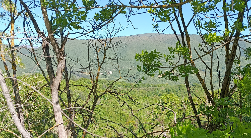valtopina 2