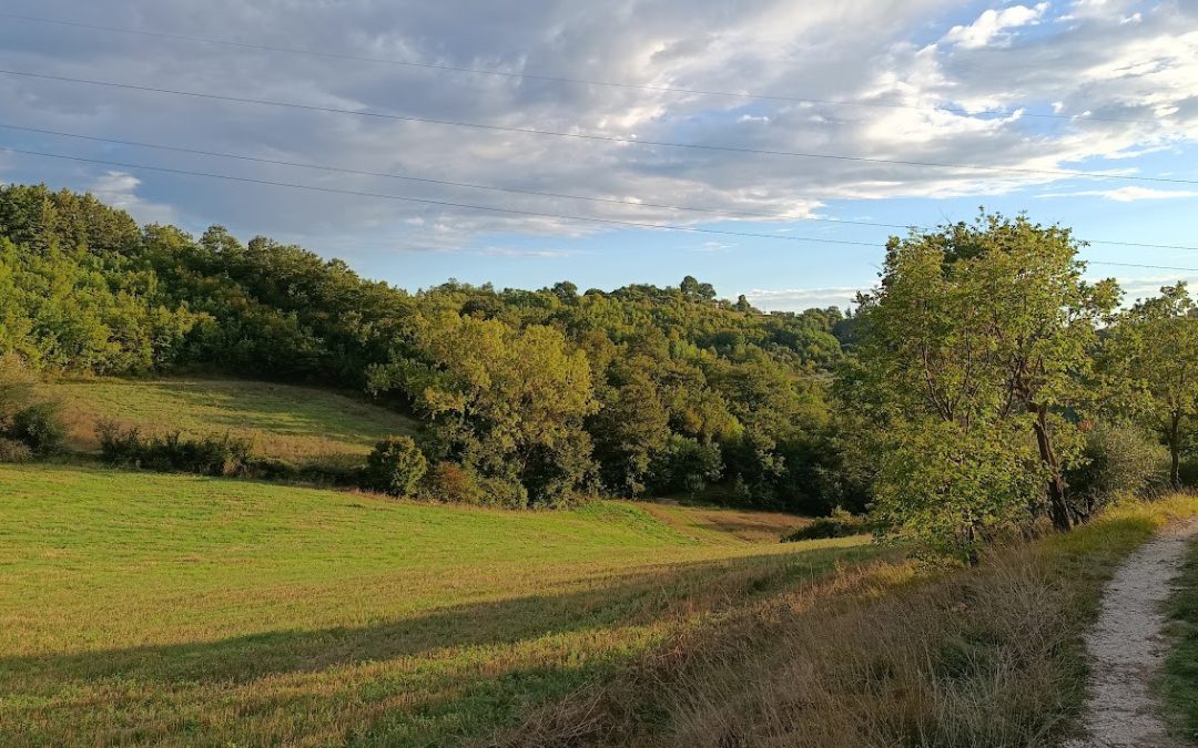 MERCOSUR and the Future of European Agriculture: OUR LAND, the Answer for Wholesome, High-Quality Food
